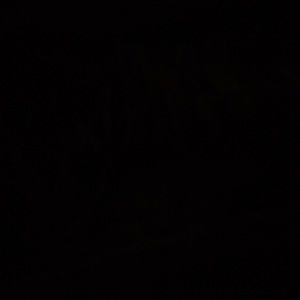 Meet your Posher, Bum